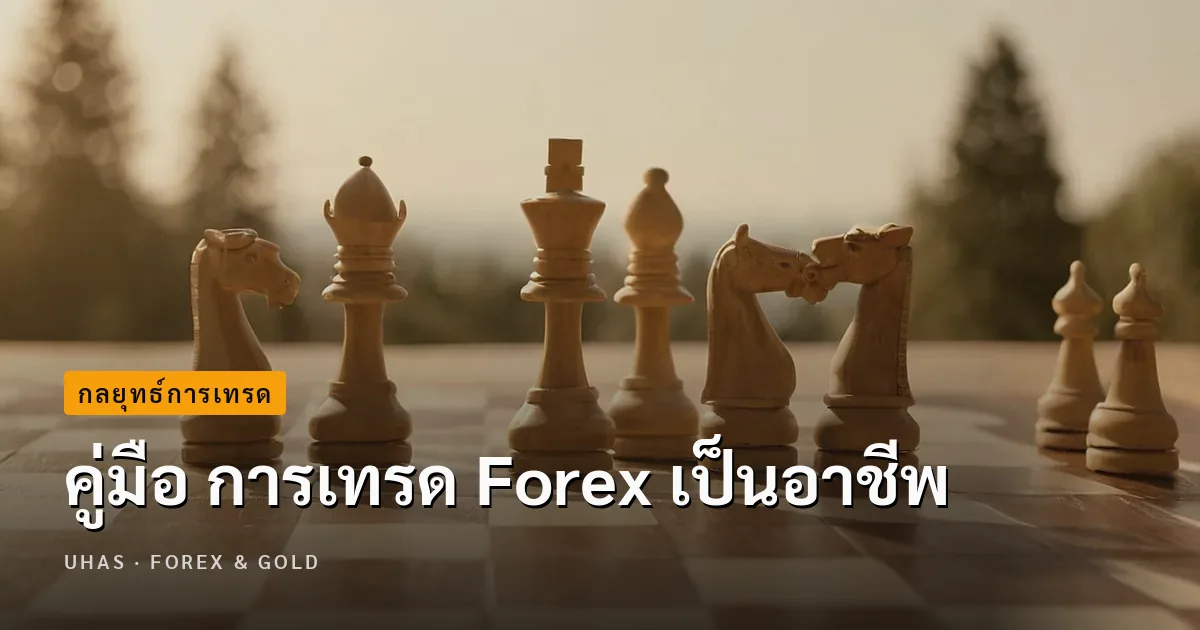 คู่มือ การเทรด Forex เป็นอาชีพ