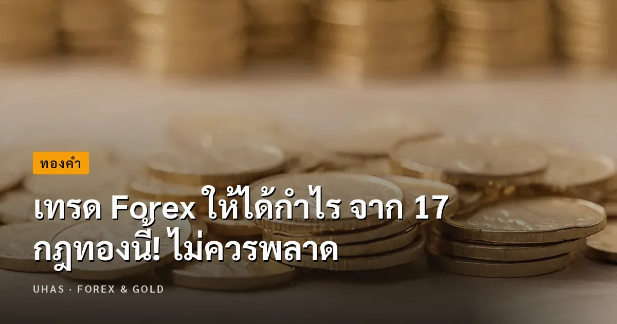 เทรด Forex ให้ได้กำไร จาก 17 กฎทองนี้! ไม่ควรพลาด