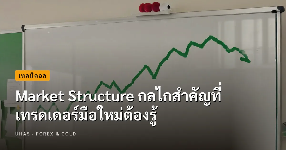 Market Structure คืออะไร โครงสร้างตลาดที่สายเทคนิคต้องรู้