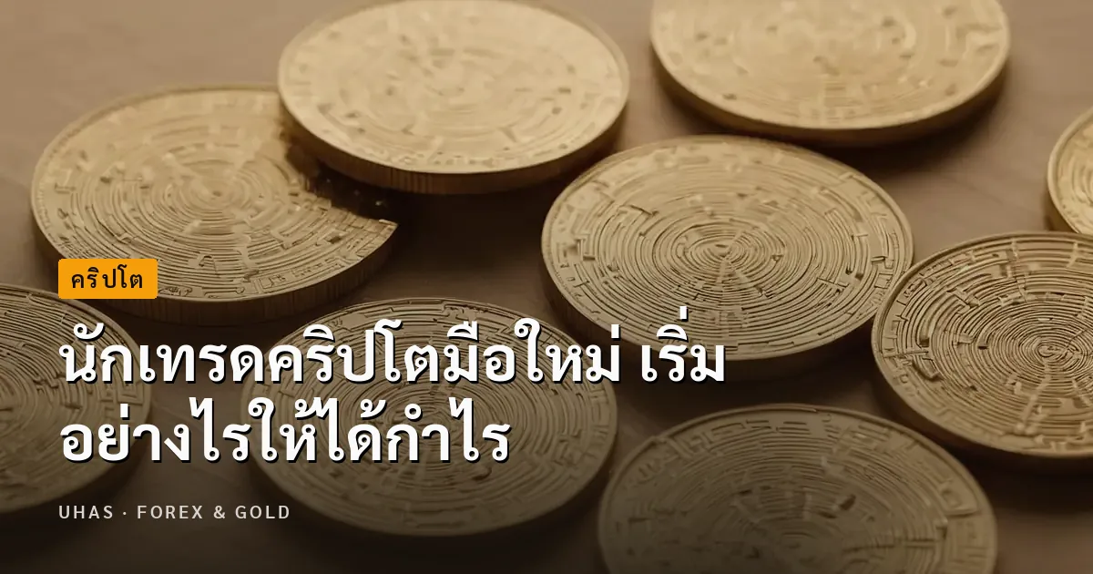 นักเทรดคริปโตมือใหม่ เริ่มอย่างไรให้ได้กำไร