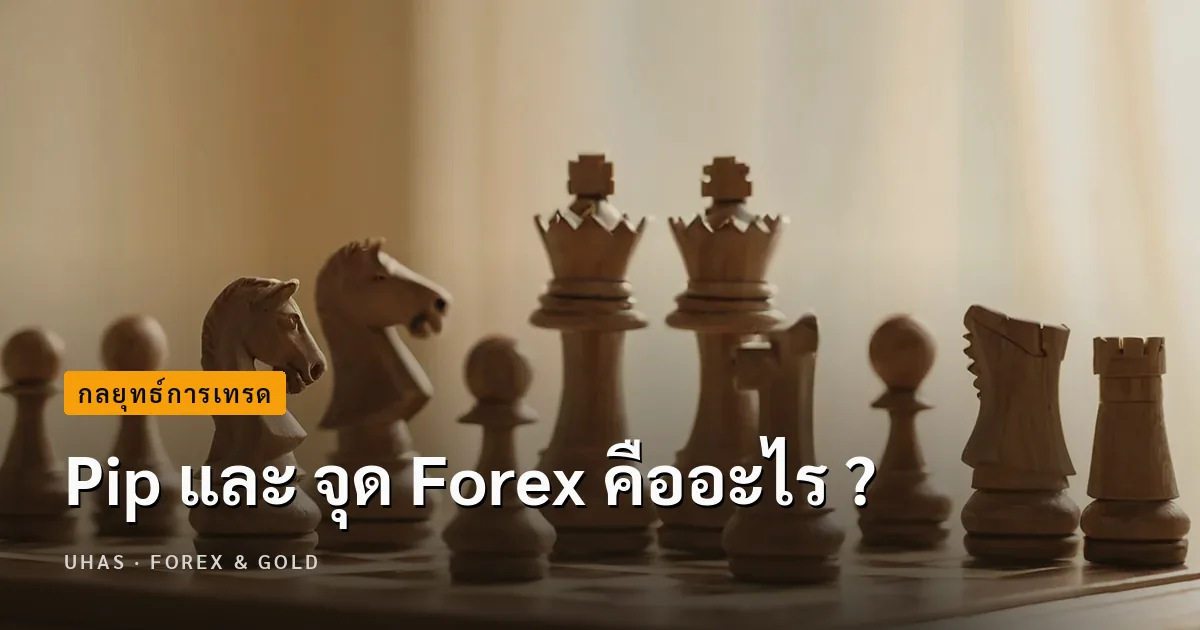 Pip และ จุด Forex คืออะไร ?
