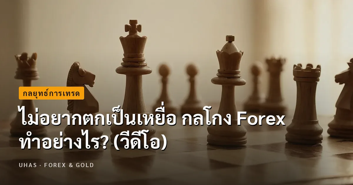 ไม่อยากตกเป็นเหยื่อ กลโกง Forex ทำอย่างไร?