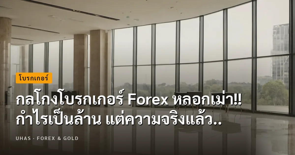 กลโกงโบรกเกอร์ Forex หลอกเม่า!! กำไรเป็นล้าน แต่ความจริงแ...