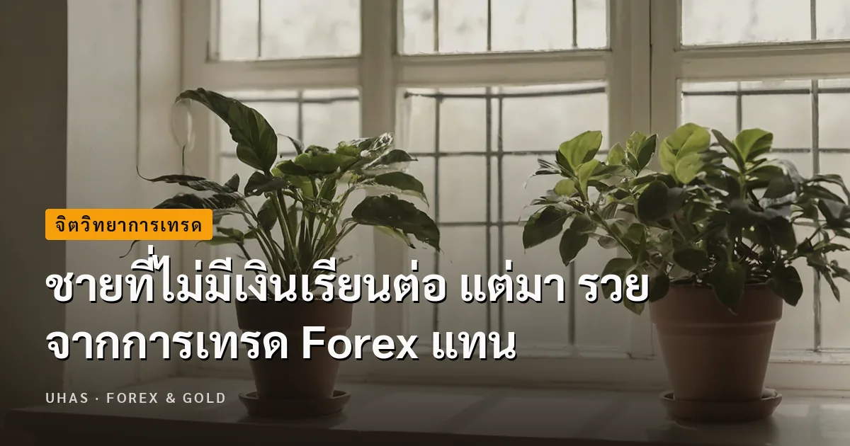 ชายที่ไม่มีเงินเรียนต่อ แต่มา รวยจากการเทรด Forex แทน