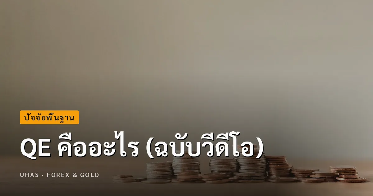 QE คืออะไร (ฉบับวีดีโอ)