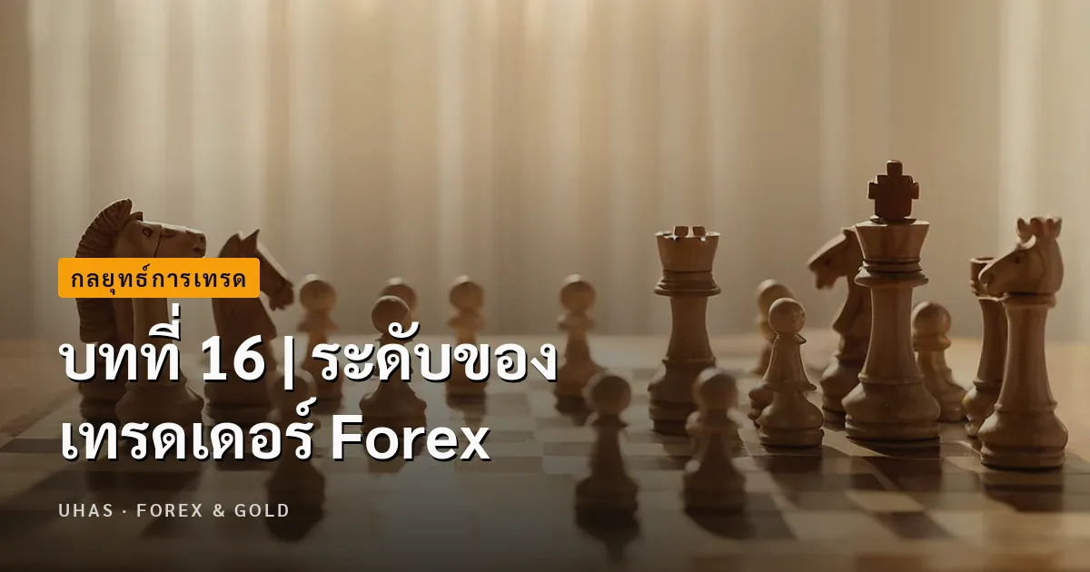 บทที่ 16 | ระดับของเทรดเดอร์ Forex