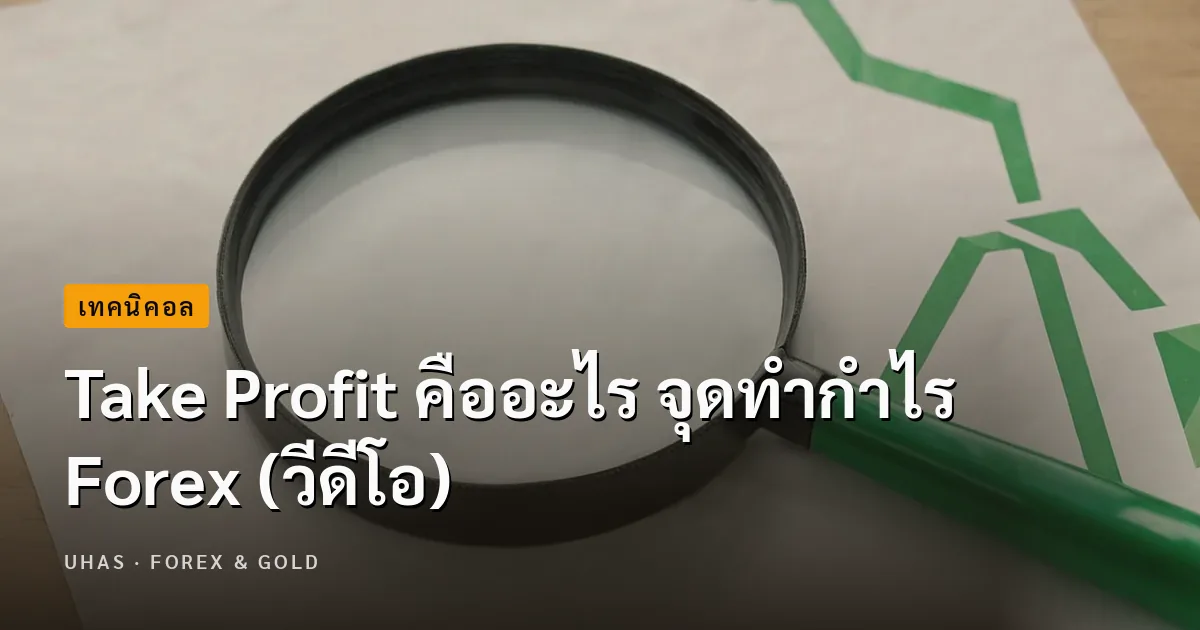 Take Profit คืออะไร จุดทำกำไร Forex