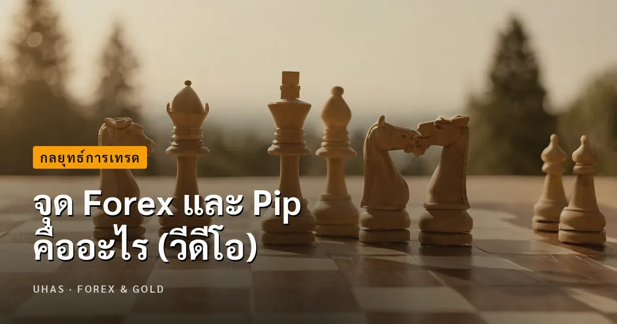 จุด Forex และ Pip คืออะไร