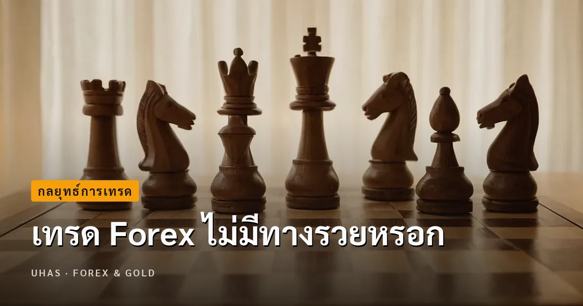เทรด Forex ไม่มีทางรวยหรอก