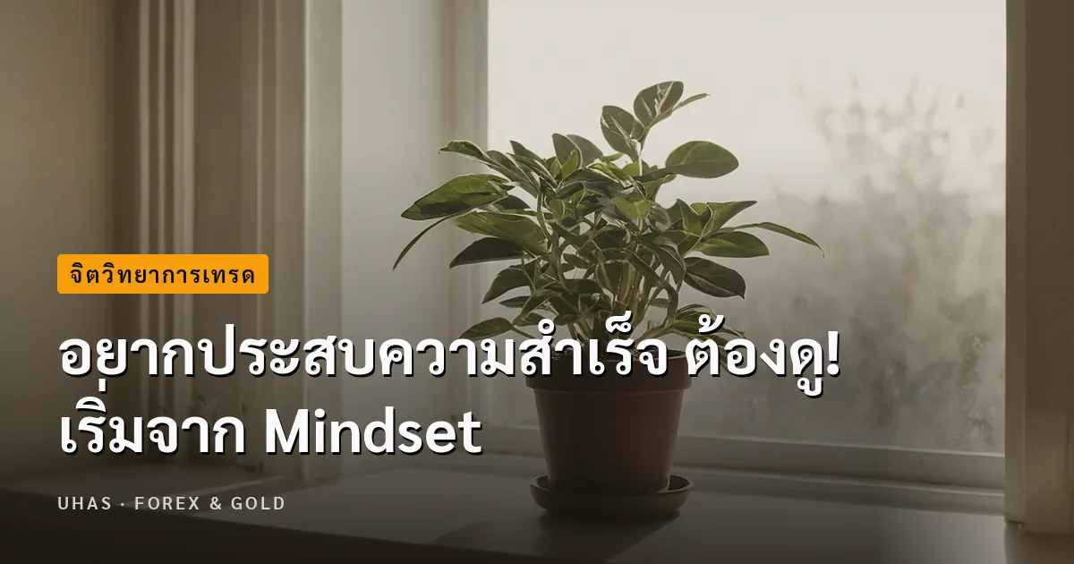 อยากประสบความสำเร็จ ต้องดู! เริ่มจาก Mindset