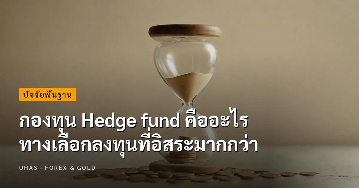 Hedge fund คืออะไร ทำความรู้จัก ทางเลือกลงทุนที่อิสระมากกว่า
