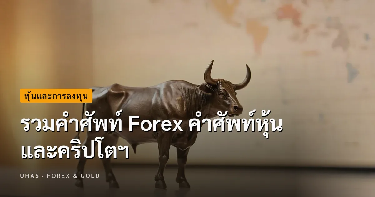 คอร์ส เรียน Forex ฟรี เข้าใจได้ง่าย แม้ไม่มีพื้นฐาน