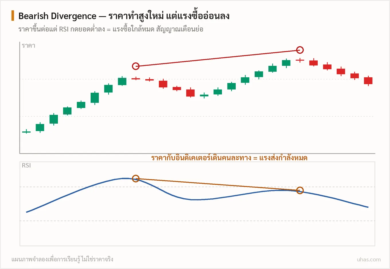 แผนภาพ Divergence: ราคาทำจุดสูงหรือต่ำใหม่ แต่อินดิเคเตอร์ไม่ทำตาม เส้นลาดบนกราฟราคากับ RSI ชี้คนละทาง เป็นสัญญาณเตือนว่าแรงส่งใกล้หมด