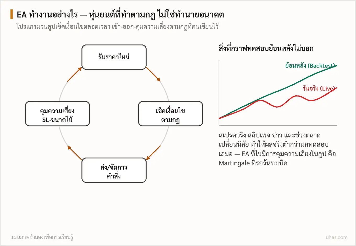 แผนภาพการทำงานของ EA: วนลูปรับราคา เช็คเงื่อนไขตามกฎ ส่งคำสั่ง และคุมความเสี่ยง พร้อมกราฟเปรียบเทียบผลทดสอบย้อนหลังที่สวยกว่าผลรันจริงเสมอ