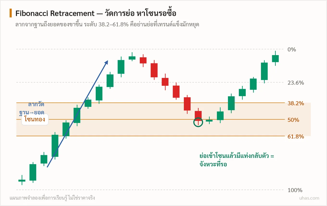 แผนภาพ Fibonacci Retracement: ลากจากฐานถึงยอดของขาขึ้น แสดงระดับ 23.6 38.2 50 61.8 เปอร์เซ็นต์ โดยโซน 38.2 ถึง 61.8 คือย่านย่อที่ราคามักกลับตัวขึ้นต่อ