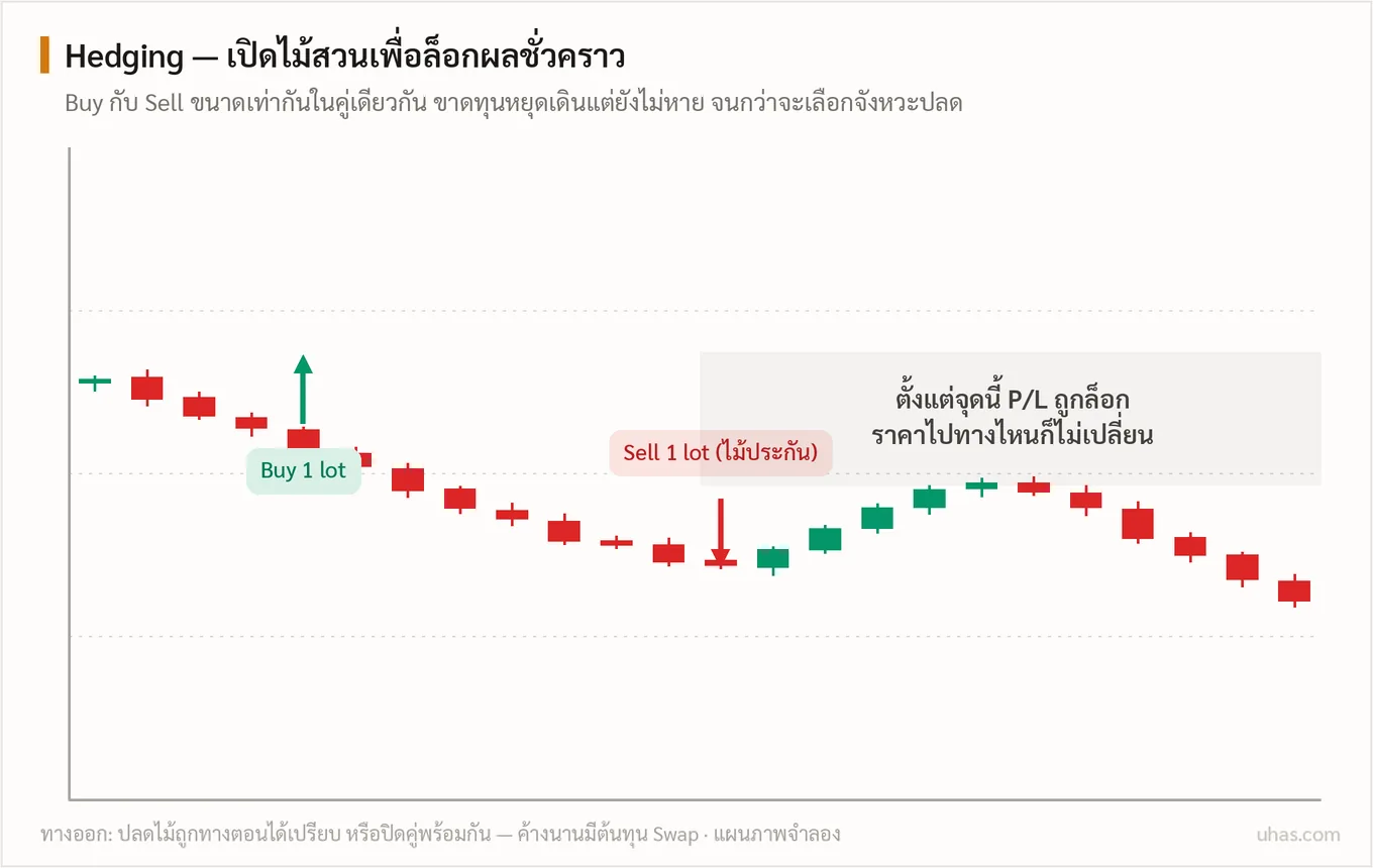 แผนภาพ Hedging: เปิด Buy และ Sell ขนาดเท่ากันในคู่เงินเดียวกัน ผลกำไรขาดทุนถูกล็อกไว้ไม่ว่าราคาไปทางไหน จนกว่าจะเลือกจังหวะปลดไม้ฝั่งใดฝั่งหนึ่ง
