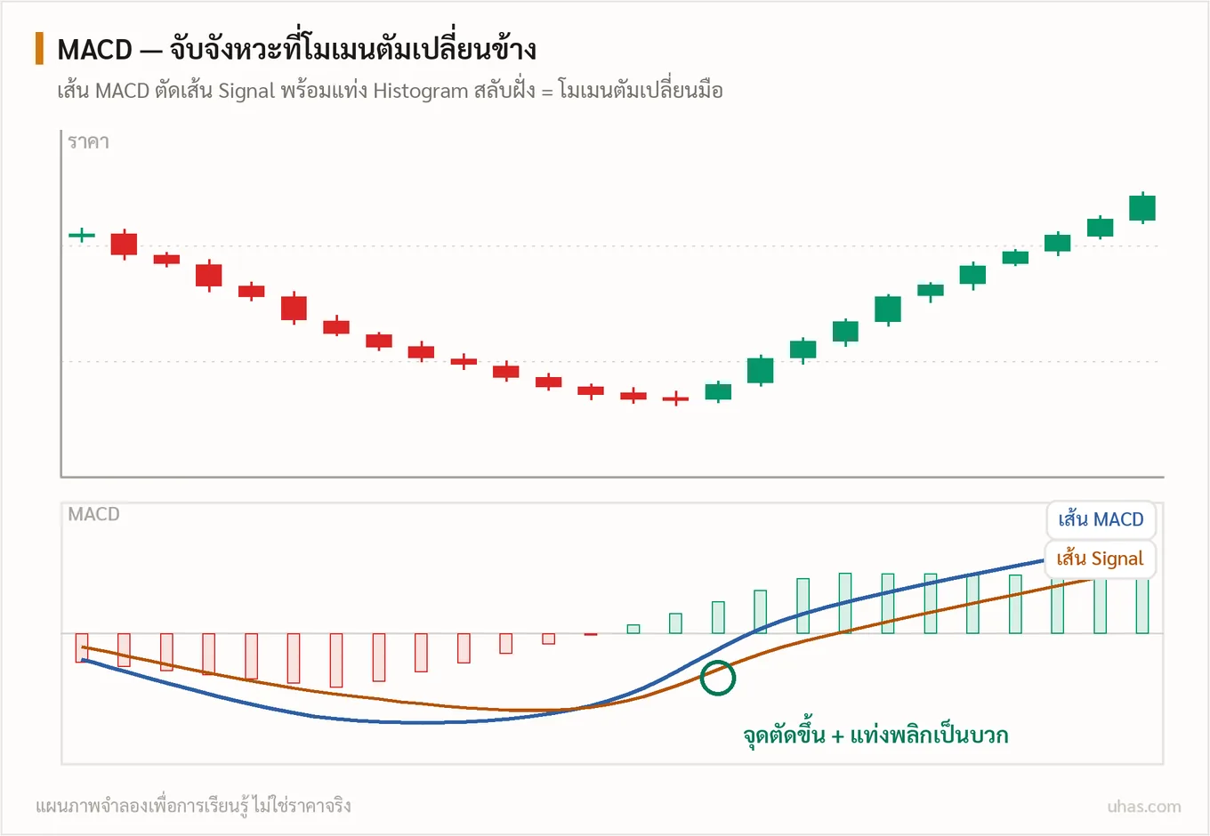 แผนภาพ MACD: เส้น MACD ตัดขึ้นเหนือเส้น Signal พร้อมแท่ง Histogram พลิกจากลบเป็นบวก แสดงว่าโมเมนตัมกำลังเปลี่ยนเป็นฝั่งขึ้น