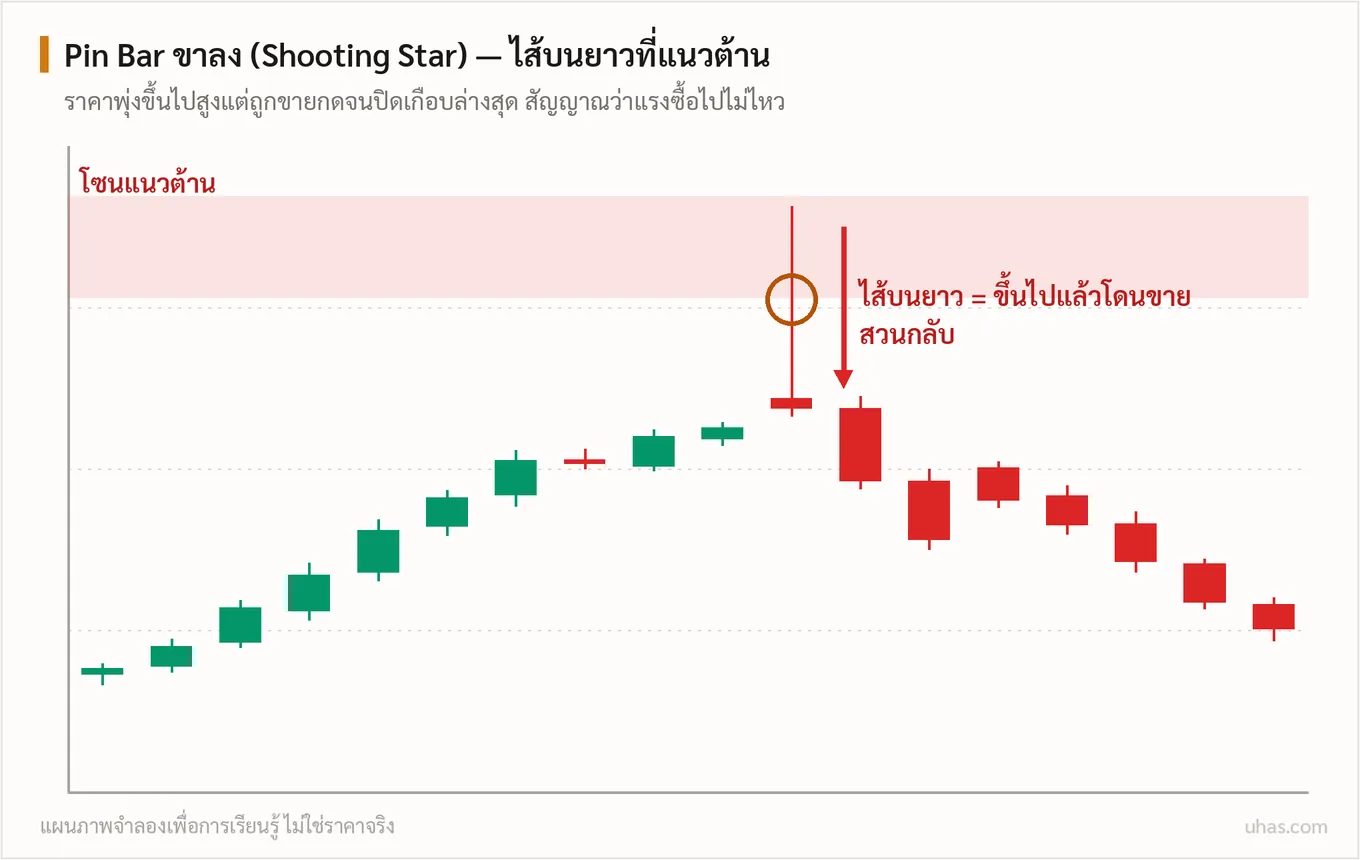 แผนภาพ Pin Bar: แท่งเทียนไส้ยาวที่โซนสำคัญ ไส้ล่างยาวที่แนวรับหมายถึงแรงซื้อดันกลับ ไส้บนยาวที่แนวต้านหมายถึงแรงขายกดกลับ