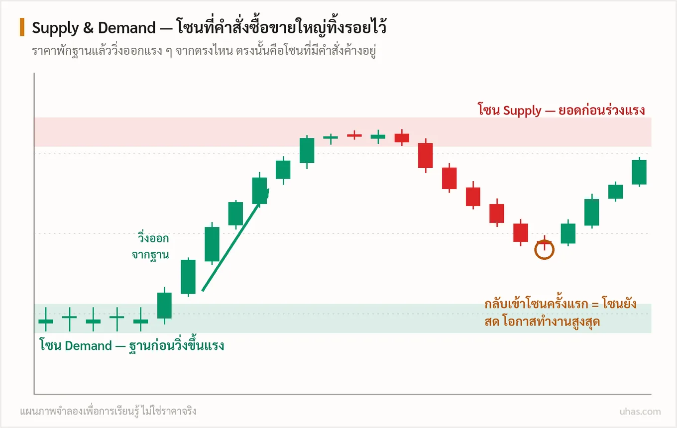แผนภาพโซน Supply และ Demand: โซน Demand คือฐานสะสมก่อนราคาวิ่งขึ้นแรง โซน Supply คือยอดก่อนราคาร่วงแรง การกลับเข้าโซนครั้งแรกมีโอกาสทำงานสูงสุด