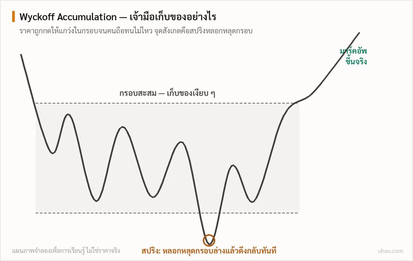 แผนภาพ Wyckoff Accumulation: ราคาแกว่งในกรอบสะสม มีจังหวะสปริงหลอกหลุดกรอบล่างแล้วดึงกลับ ก่อนเข้าสู่ช่วงมาร์คอัพขึ้นจริง