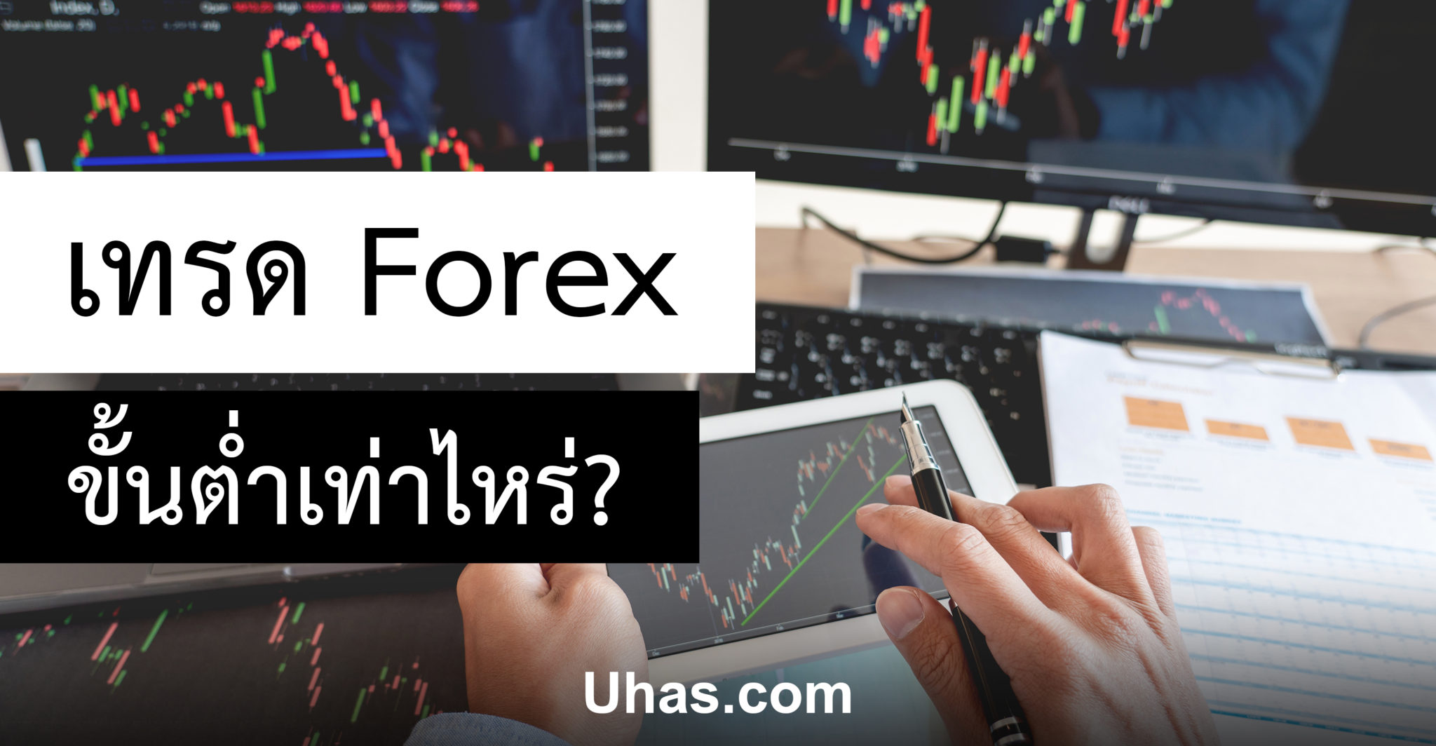 line กล ม เทรด forex