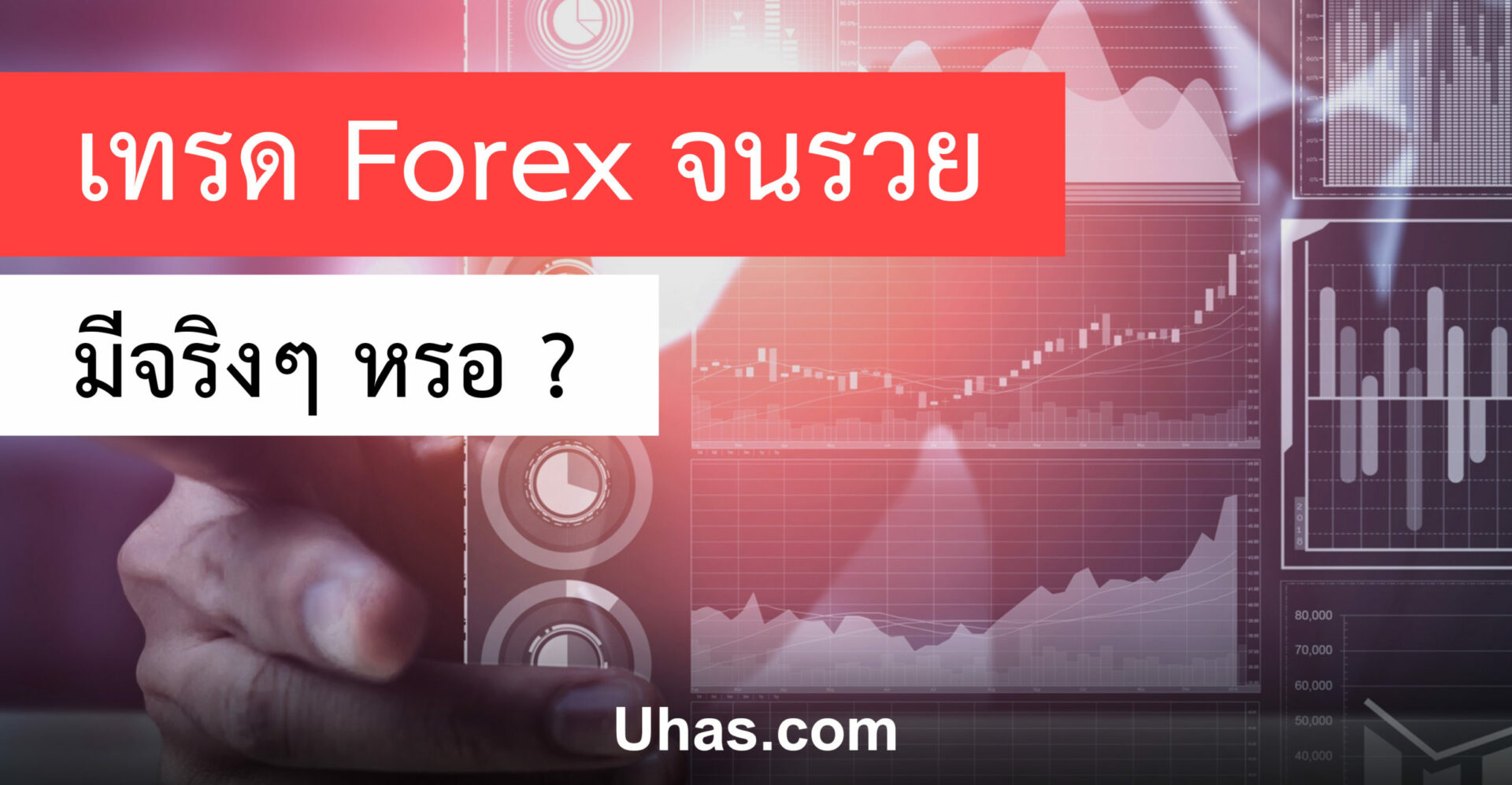 เทรด Forex รวย