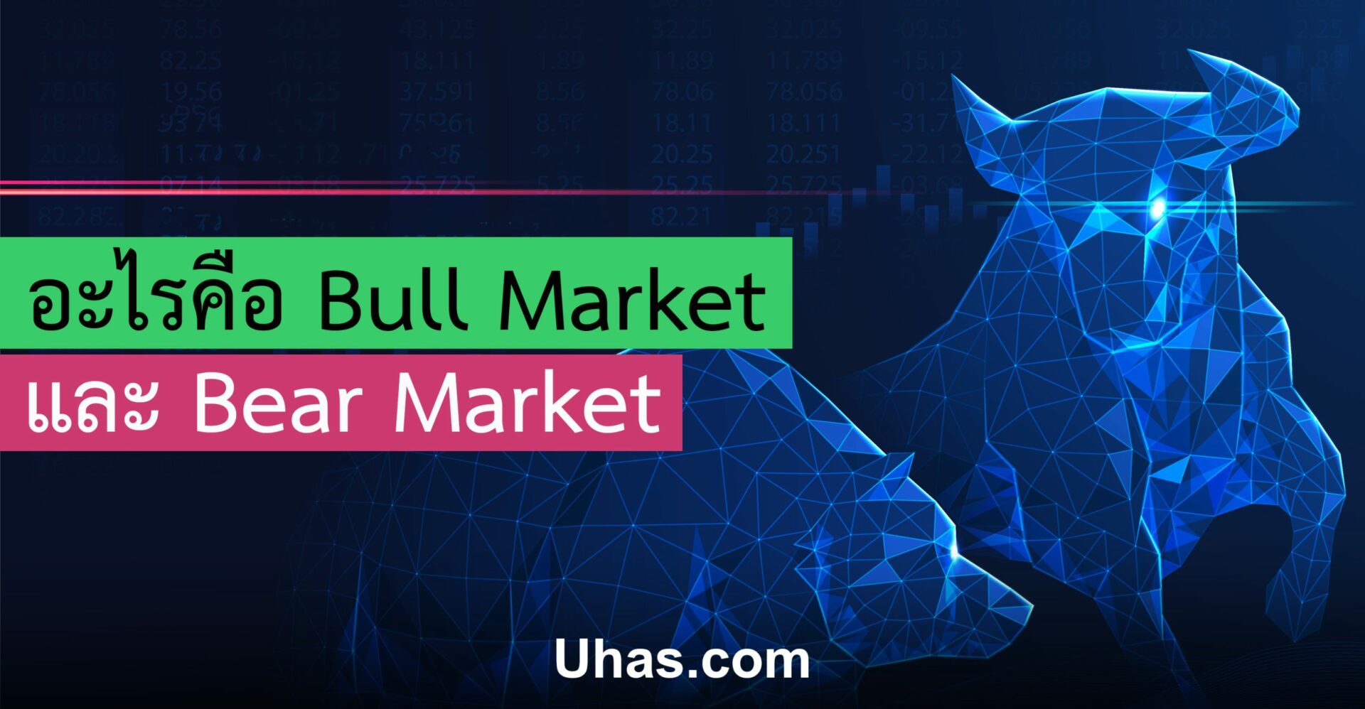 Bull Market bear Market