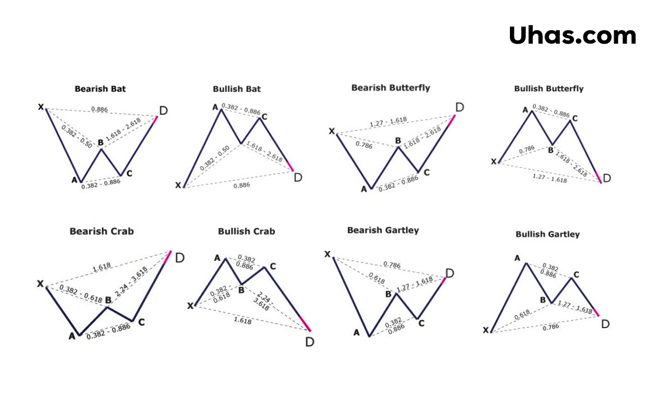 Harmonic Pattern คืออะไร มีกี่รูปแบบ กราฟที่มือใหม่ Forex ต้องรู้