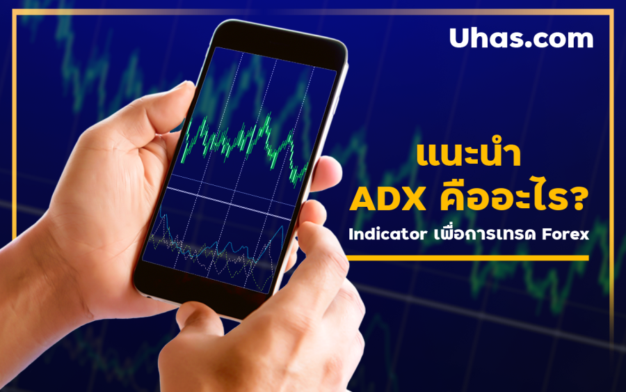 แนะนำ ADX คืออะไร? Indicator เพื่อการเทรด Forex