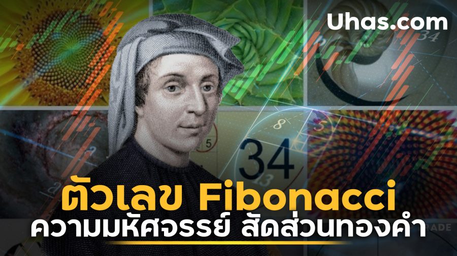 ตัวเลข Fibonacci