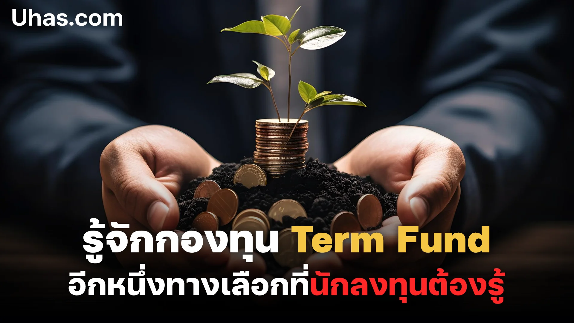 กองทุน Term Fund ทางเลือกที่น่าสนใจของนักลงทุน